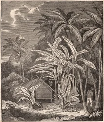 Vue d